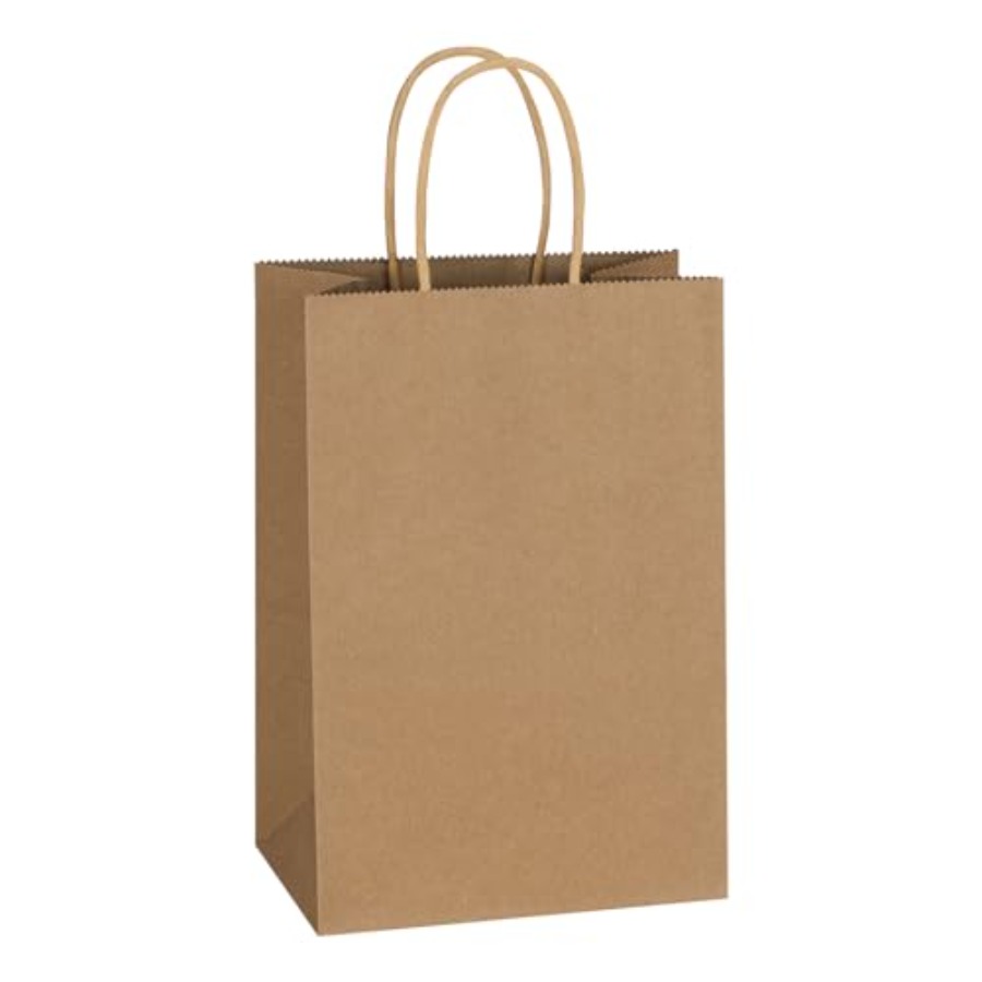 Party Favor Bag - 300 Pack 5.25x3.25x8.5 Inch Plain Small