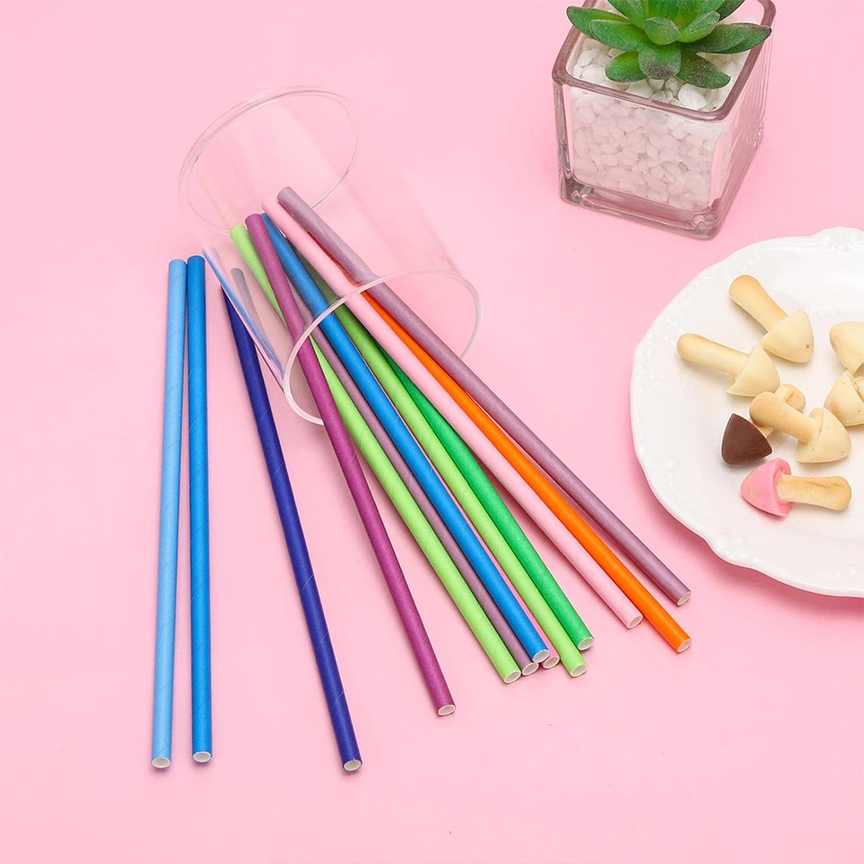 25/50/100PCS Disposable Paper  - Paper Straw Color ulasan dan harga