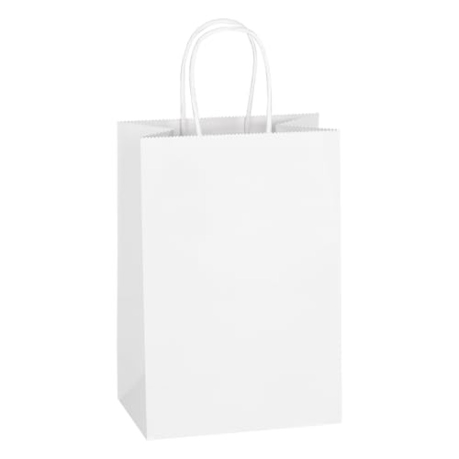 100 Pack 5.25x3.25x8.5 Inch Sm - Party Favor Bag ulasan dan harga