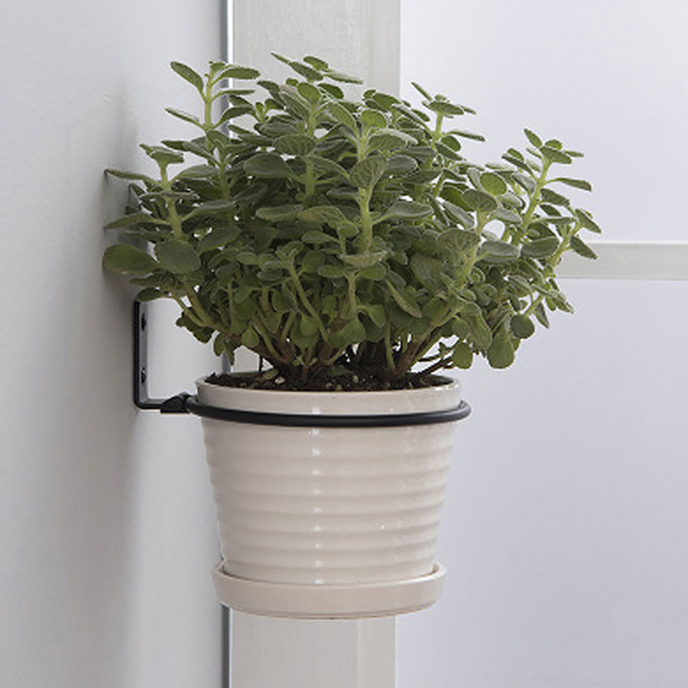 Flower Pot Trays Wall Mounted  - Flower Wall Panel ulasan dan harga